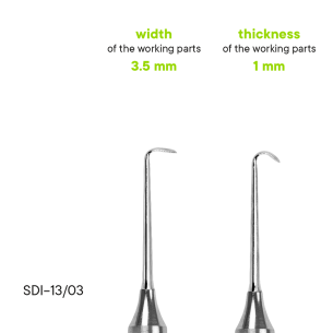 Raspatorium TYPE 3 - SDI-29/03 - Meddins 2
