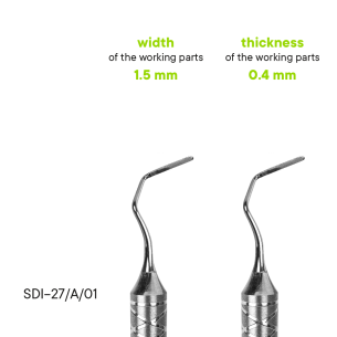 Raspatorium TYPE 3 - SDI-29/03 - Meddins 2