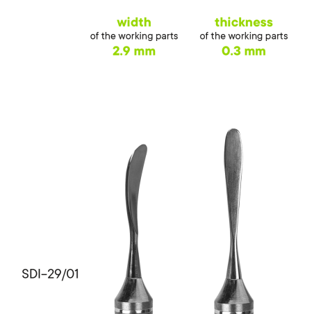 Raspatorium TYPE 1 - SDI-29/01 - Meddins